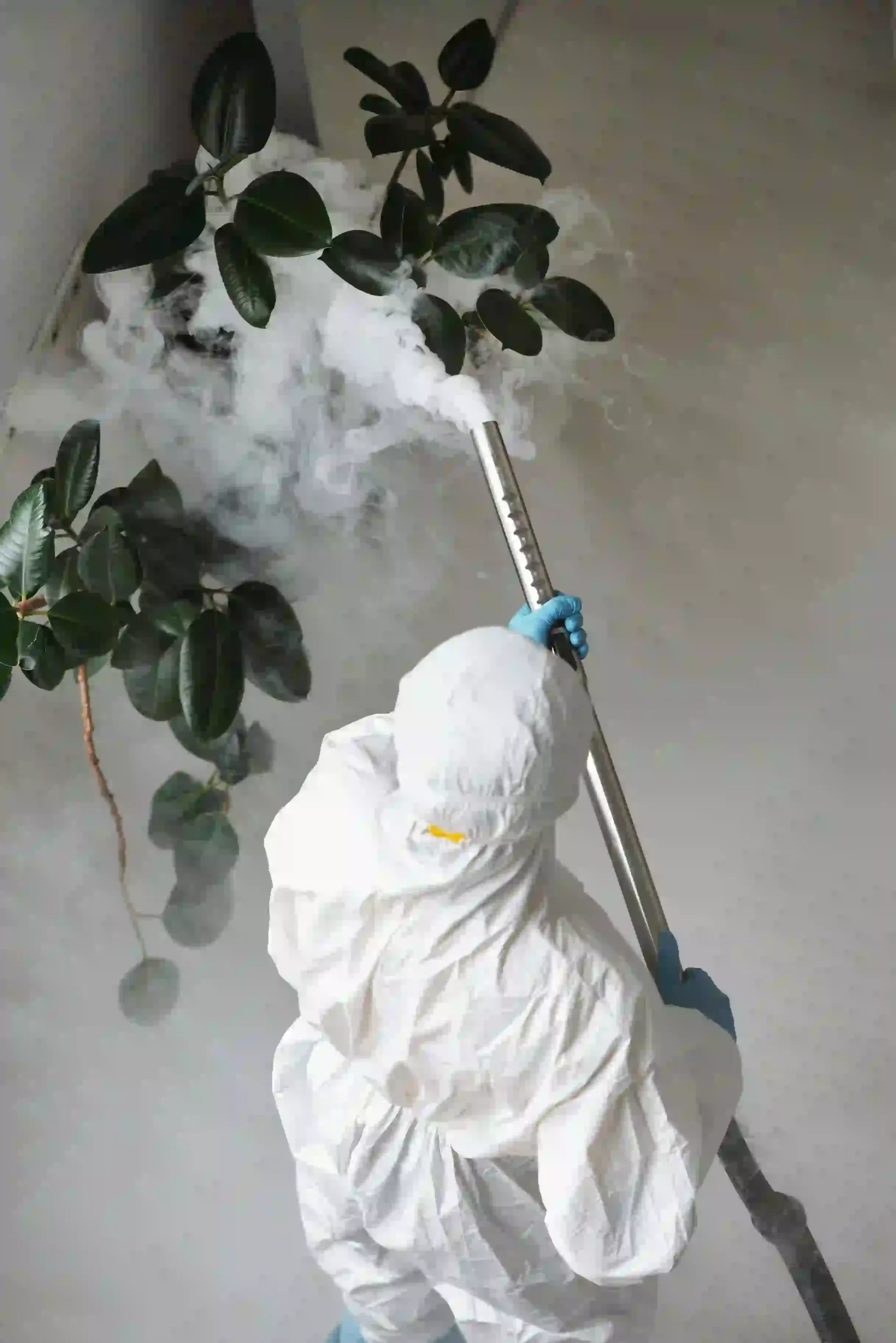 man doing pest control